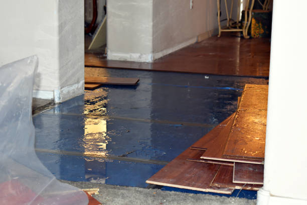 Professional Emergency Water Damage Restoration technician working in Hampden, ME